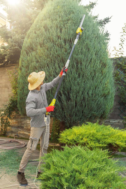 Best Tree Preservation Services  in Botkins, OH